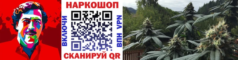 Наркошоп купить COCAIN  МЕФ  Гашиш  Конопля  Назрань