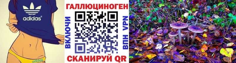 Галлюциногенные грибы прущие грибы  Купить где  Назрань 